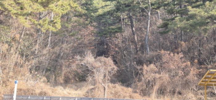 2026타경10065 · 경상남도 고성군 마암면 보전리 873