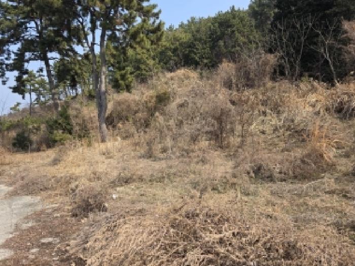 2026타경10162 · 경상남도 거제시 사등면 창호리 1160