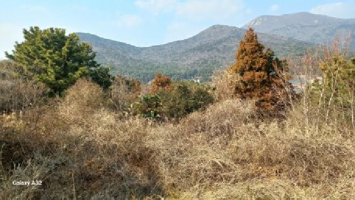 2026타경10192 · 경상남도 거제시 남부면 다포리 130-2