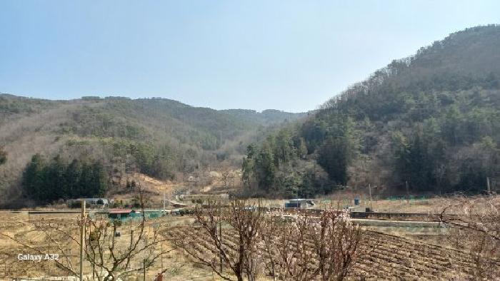 2026타경10251 임야 · 경상남도 거제시 연초면 명동리 산41-1