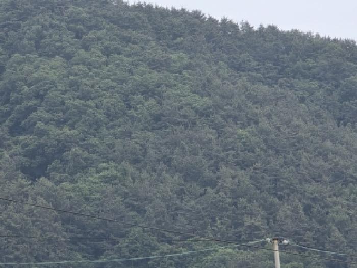 2026타경10298 임야 · 경상남도 거제시 둔덕면 어구리 산9-41
