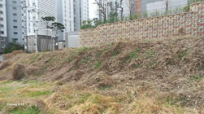 2026타경10311 임야 · 경상남도 거제시 아주동 산39-4
