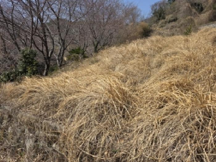 2026타경25 임야 · 경상남도 통영시 용남면 동달리 63-3