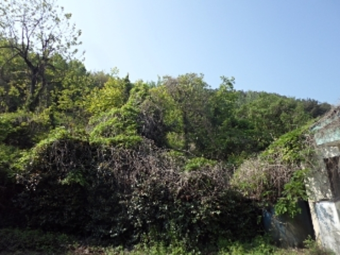 2023타경10844 임야 · 경상남도 밀양시 초동면 성만리 산34-3