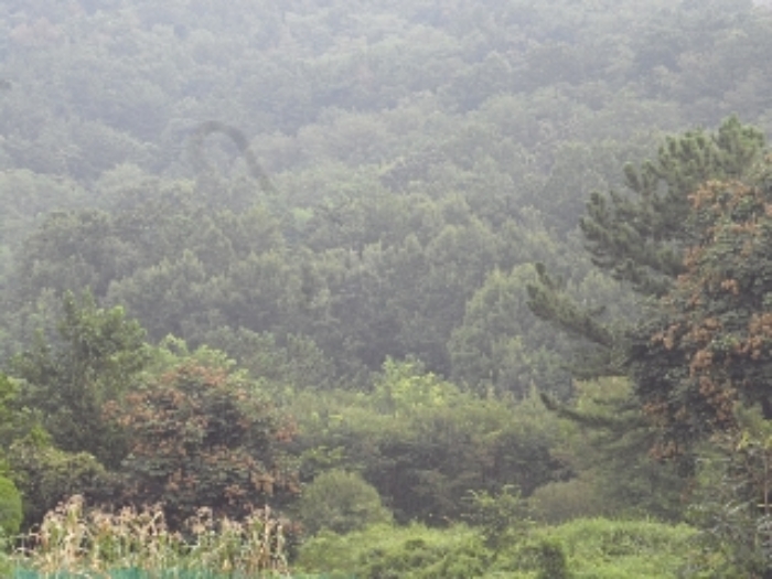 2023타경12048 · 경상남도 창녕군 영산면 성내리 149