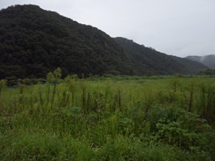2023타경1703 · 경상남도 밀양시 상남면