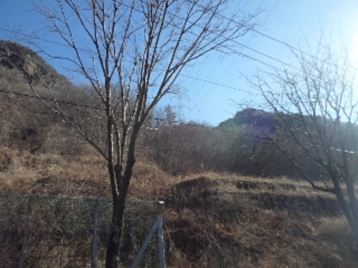 2024타경13628 임야 · 경상남도 밀양시 단장면