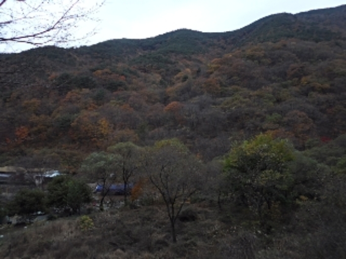 2024타경2581 임야 · 경상남도 밀양시 단장면