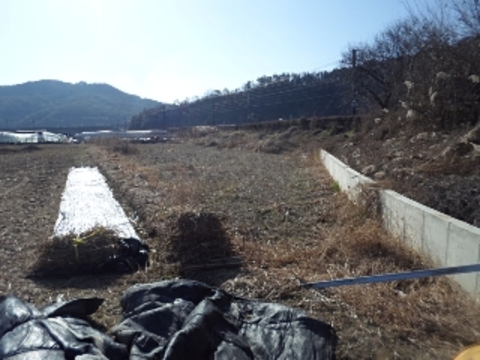 2024타경3027 전답 · 경상남도 밀양시 교동