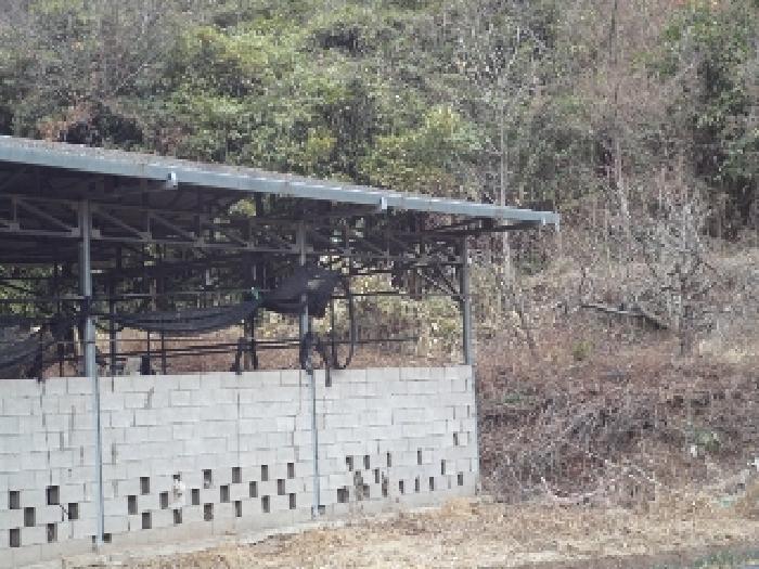 2025타경10242 임야 · 경상남도 창녕군 이방면