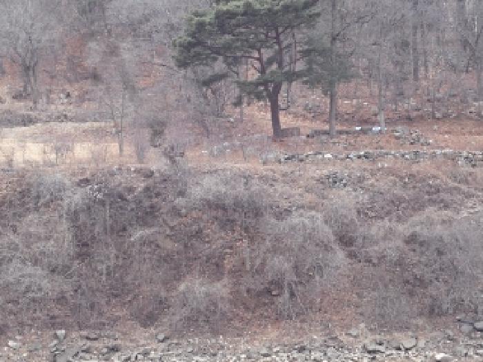 2025타경10244 · 경상남도 창녕군 창녕읍 옥천리 922-1
