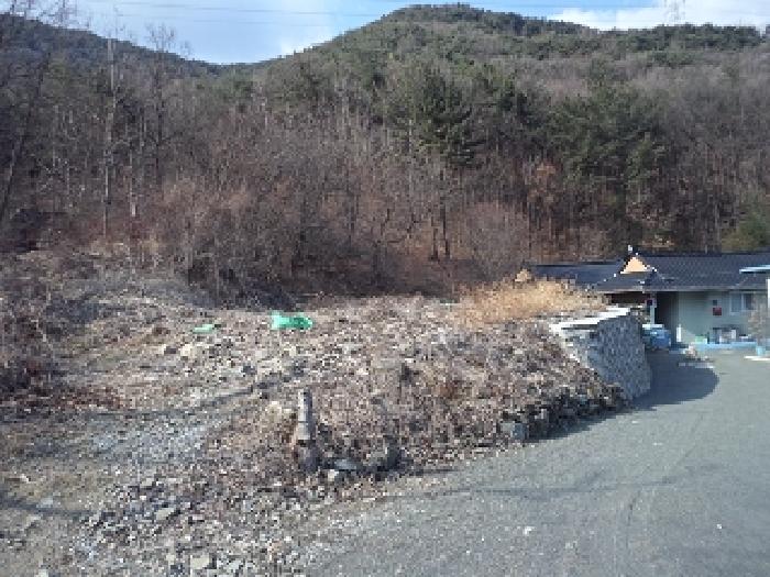 2025타경10246 대지 · 경상남도 창녕군 고암면 계상리 164