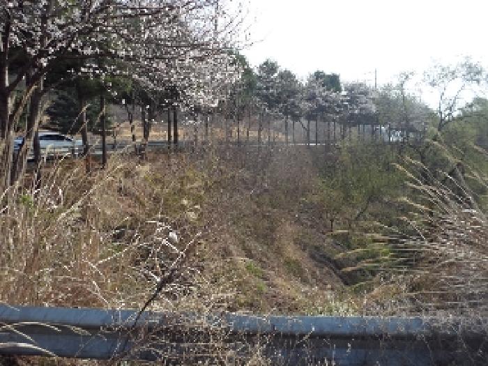 2025타경10264 · 경상남도 밀양시 초동면 오방리 619-1