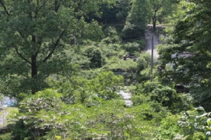 2025타경10295 임야 · 경상남도 밀양시 단장면