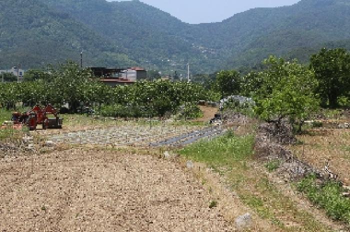 2025타경10338 대지 · 경상남도 밀양시 청도면