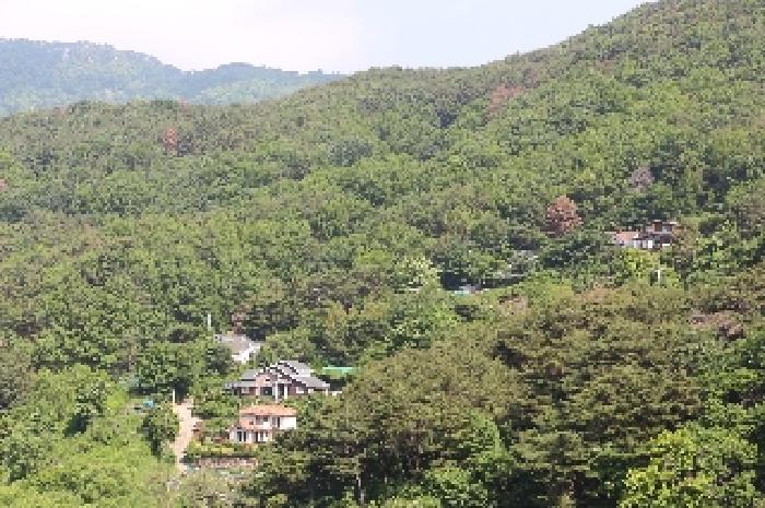 2025타경10339 임야 · 경상남도 밀양시 삼랑진읍