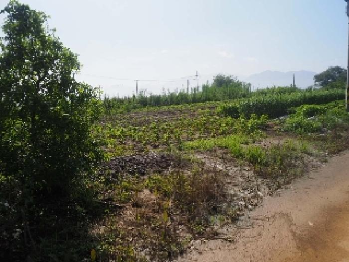 2025타경10401 · 경상남도 밀양시 상남면 동산리 314-3