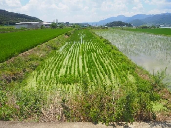 2025타경10416 전답 · 경상남도 밀양시 부북면