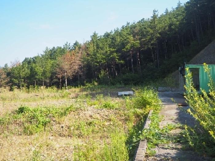 2025타경10420 임야 · 경상남도 창녕군 부곡면