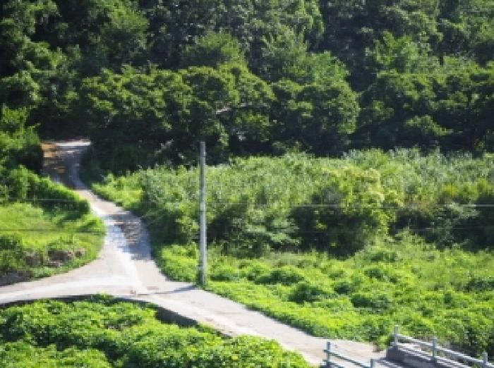 2025타경10428 전답 · 경상남도 밀양시 단장면
