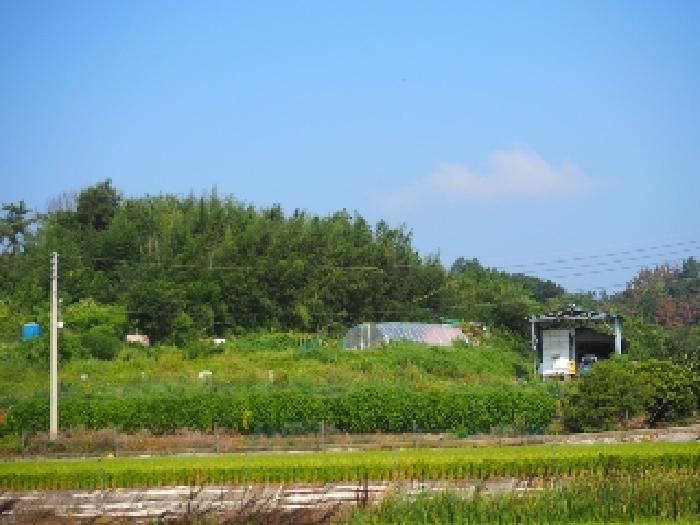 2025타경10450 전답 · 경상남도 창녕군 대지면
