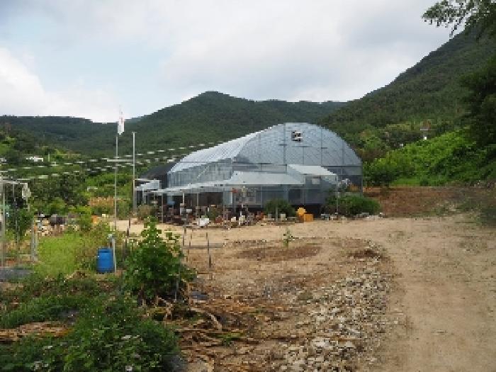 2025타경10453 전답 · 경상남도 밀양시 삼랑진읍