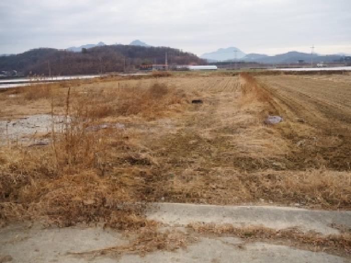 2025타경10492 전답 · 경상남도 창녕군 장마면