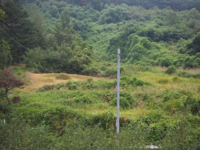 2025타경10502 · 경상남도 밀양시 산내면
