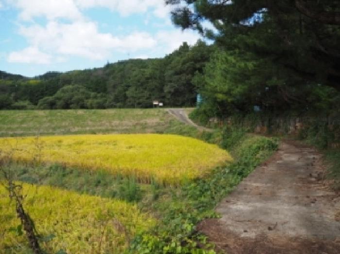 2025타경10534 전답 · 경상남도 창녕군 부곡면