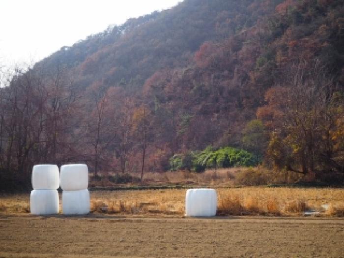 2025타경10570 전답 · 경상남도 밀양시 초동면 덕산리 1291