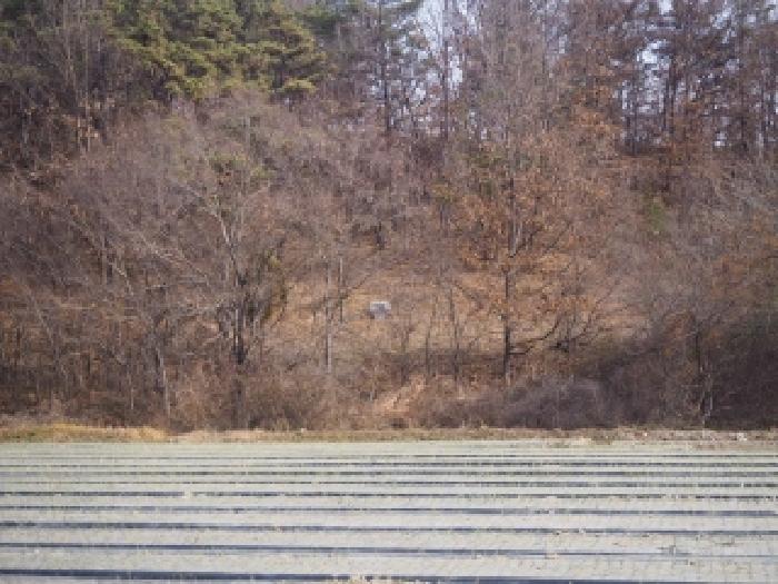 2025타경10590 전답 · 경상남도 창녕군 남지읍