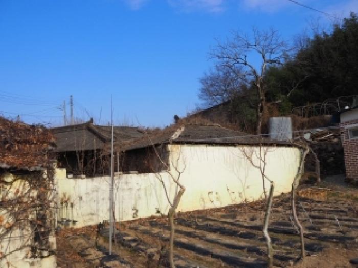 2025타경10600 · 경상남도 창녕군 영산면