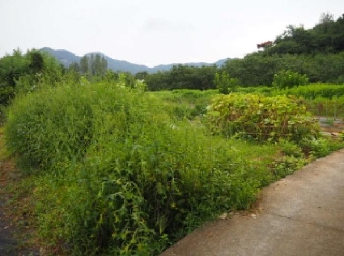 2025타경1714 대지 · 경상남도 밀양시 산외면