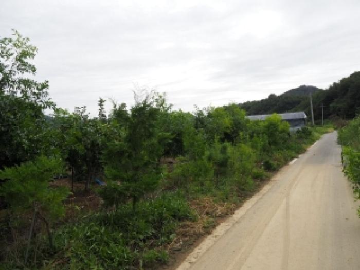 2025타경1875 전답 · 경상남도 창녕군 성산면