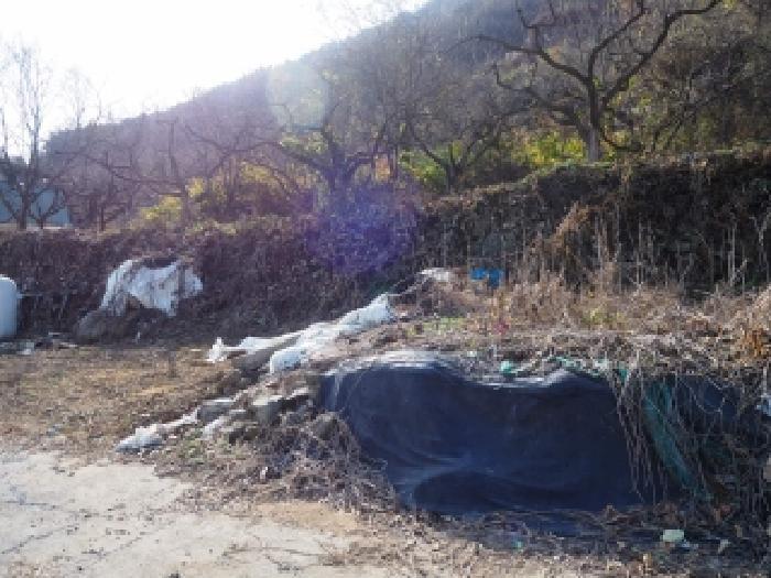 2025타경2168 임야 · 경상남도 밀양시 청도면