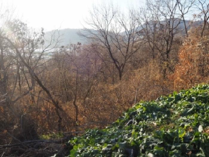 2025타경2212 임야 · 경상남도 밀양시 상남면 마산리 842