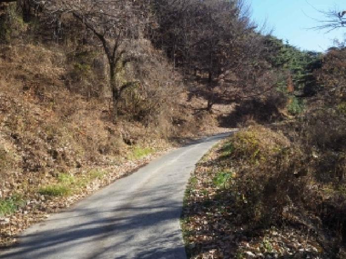 2025타경2236 · 경상남도 밀양시 산내면