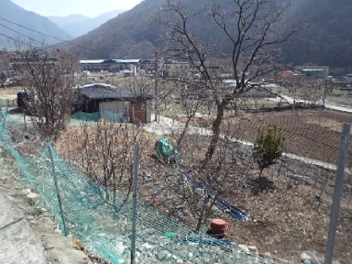 2025타경254 대지 · 경상남도 밀양시 단장면