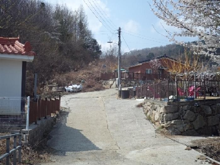 2025타경353 토지 · 경상남도 밀양시 산내면 봉의리 1247-4