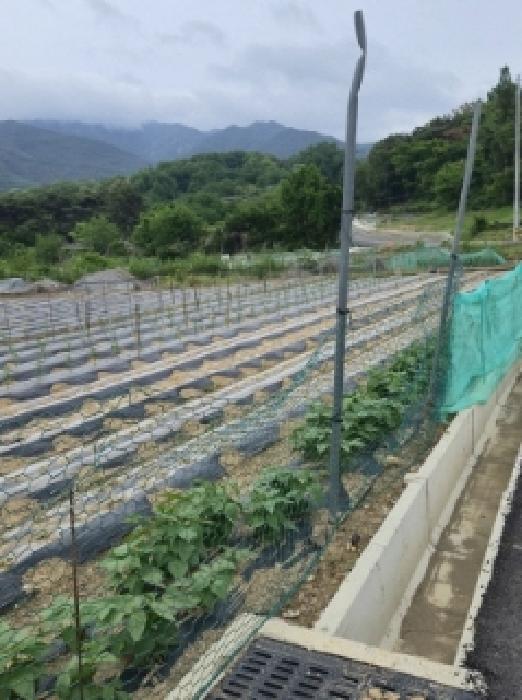 2025타경841 임야 · 경상남도 창녕군 창녕읍 교리 산23-3