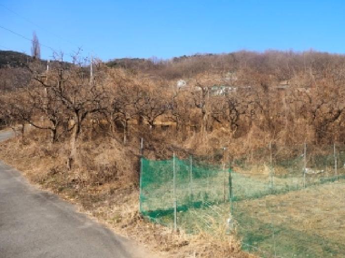 2026타경10001 · 경상남도 밀양시 산내면 임고리 2742