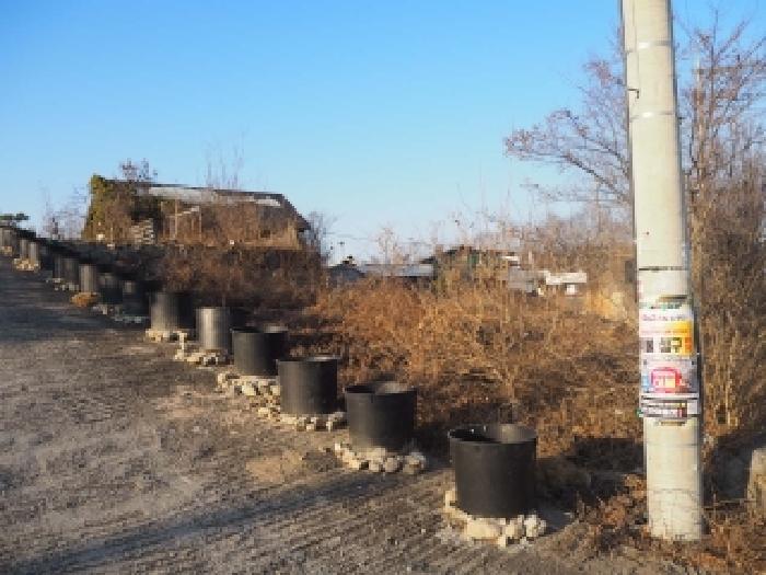 2026타경10010 대지 · 경상남도 밀양시 하남읍 수산리 694-5