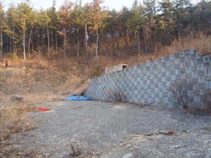 2026타경10031 임야 · 경상남도 창녕군 부곡면 온정리 산45-1