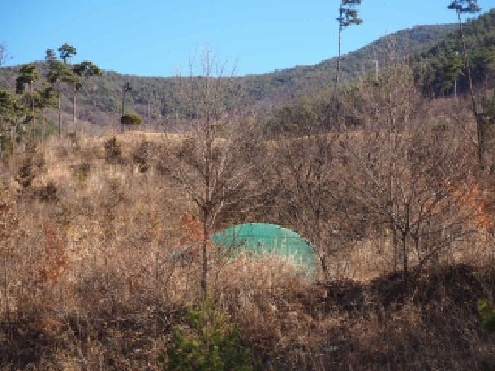 2026타경10033 · 경상남도 밀양시 단장면