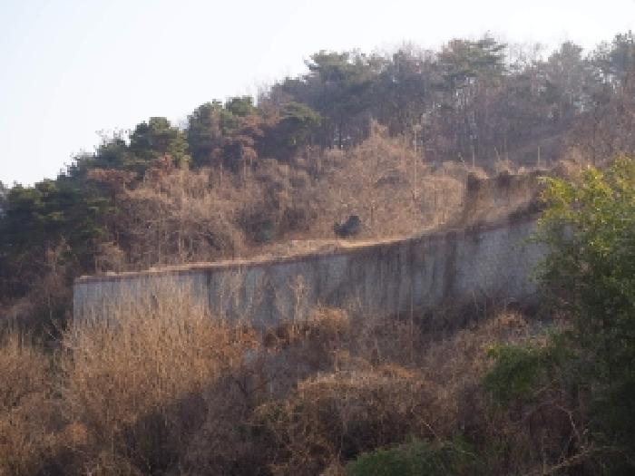 2026타경10053 임야 · 경상남도 밀양시 삼랑진읍 용성리 산23-1