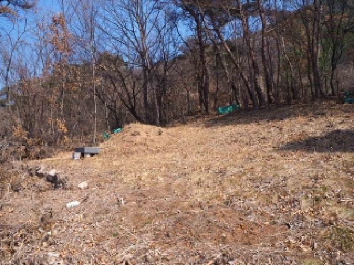 2026타경10060 임야 · 경상남도 밀양시 상동면
