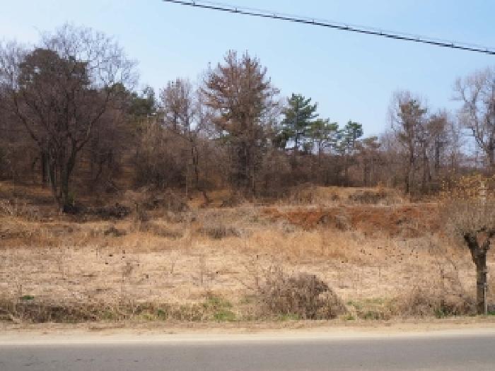 2026타경10076 · 경상남도 창녕군 장마면 장가리 1421-1