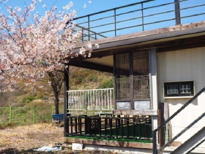 2026타경10088 임야 · 경상남도 밀양시 단장면 구천리 180