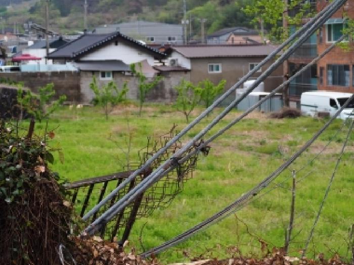 2026타경10099 · 경상남도 밀양시 가곡동 430