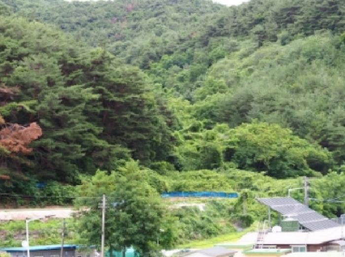 2026타경10167 임야 · 경상남도 창녕군 창녕읍 옥천리 산304-2